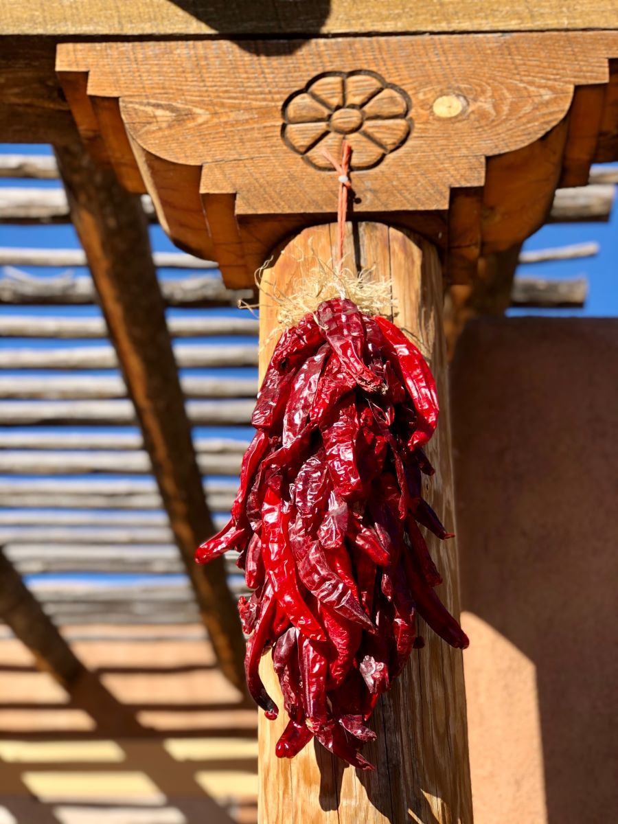 A bunch of red chilis drying in the sun in New Mexico
