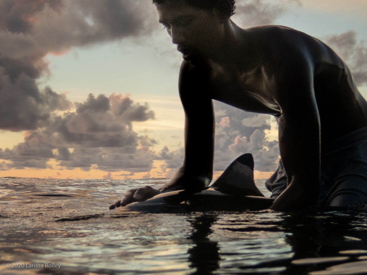 A man playing with a dolphin at the water\'s surface in Tahiti with a sunset cloudy sky - photo by Larissa Rolley, photography course creator at Wanderful