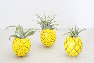 Pineapple air plant holders