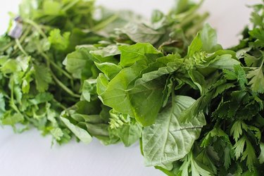 Bunches of parsley, basil, and cilantro.